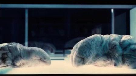 颤栗异种 在线观看,惊悚异域生物入侵,生存之战一触即发 第3张 颤栗异种 在线观看,惊悚异域生物入侵,生存之战一触即发 第3张